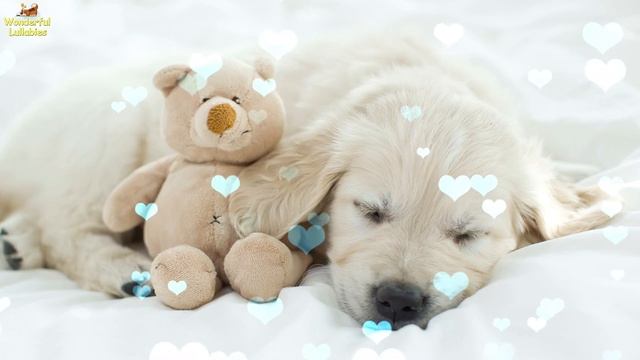 Super Relaxing Sleep Music For Puppies To Calm And Relax ♫ Lullaby For Dogs And Animals