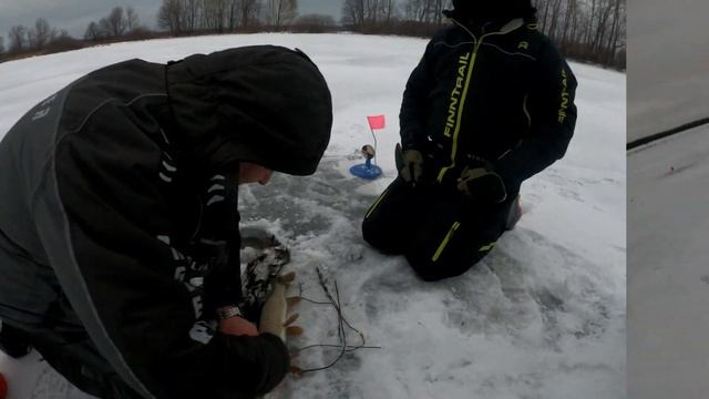 Матерые спиннингисты осваивают жерлицы! Рыбалка на Волге в Хмелевке - Васильсурске смотреть онлайн