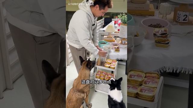 吃饭也要有规矩 смотреть онлайн