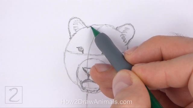 How to Draw a Tiger смотреть онлайн