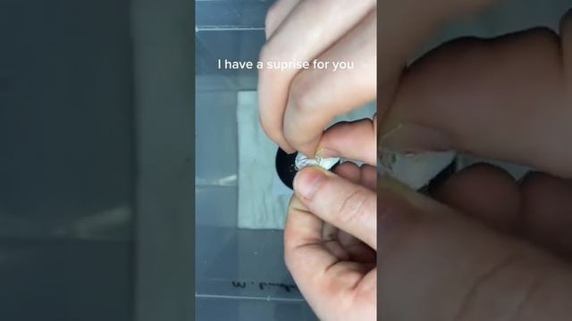 ЯЙЦО ПАУКА лучше потом спалить дом) смотреть онлайн