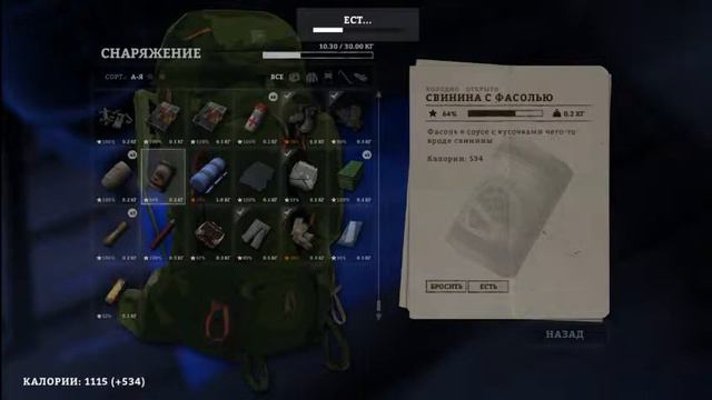 The Long Dark.Эпическое начало.0_0 смотреть онлайн