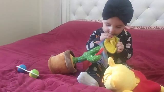 Funny video 😂 Saten playing with Cactus 👶🌵Смешная видео Сатен играет с Кактусом. смотреть онлайн