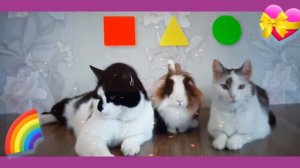 Clip for the channel "А ну-ка Давай-ка" (I returned to YouTube)😄Клип для канала "А ну-ка Давай-ка"