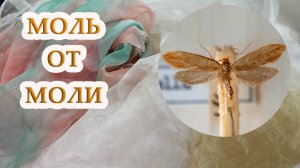 Придумала как красиво бороться с молью. Оригинальный аксессуар для шкафа, который можно дарить
