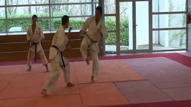 JYU IPPON KUMITE Karate Shotokan Traditionnel Bernard Miollan 6°Dan