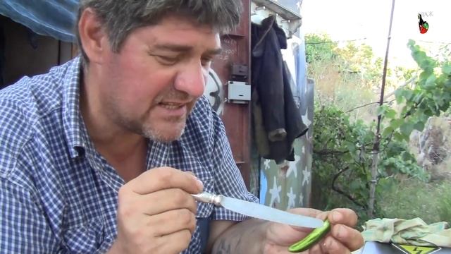 116. Первый огонь 2019! Пробую халапеньо! смотреть онлайн