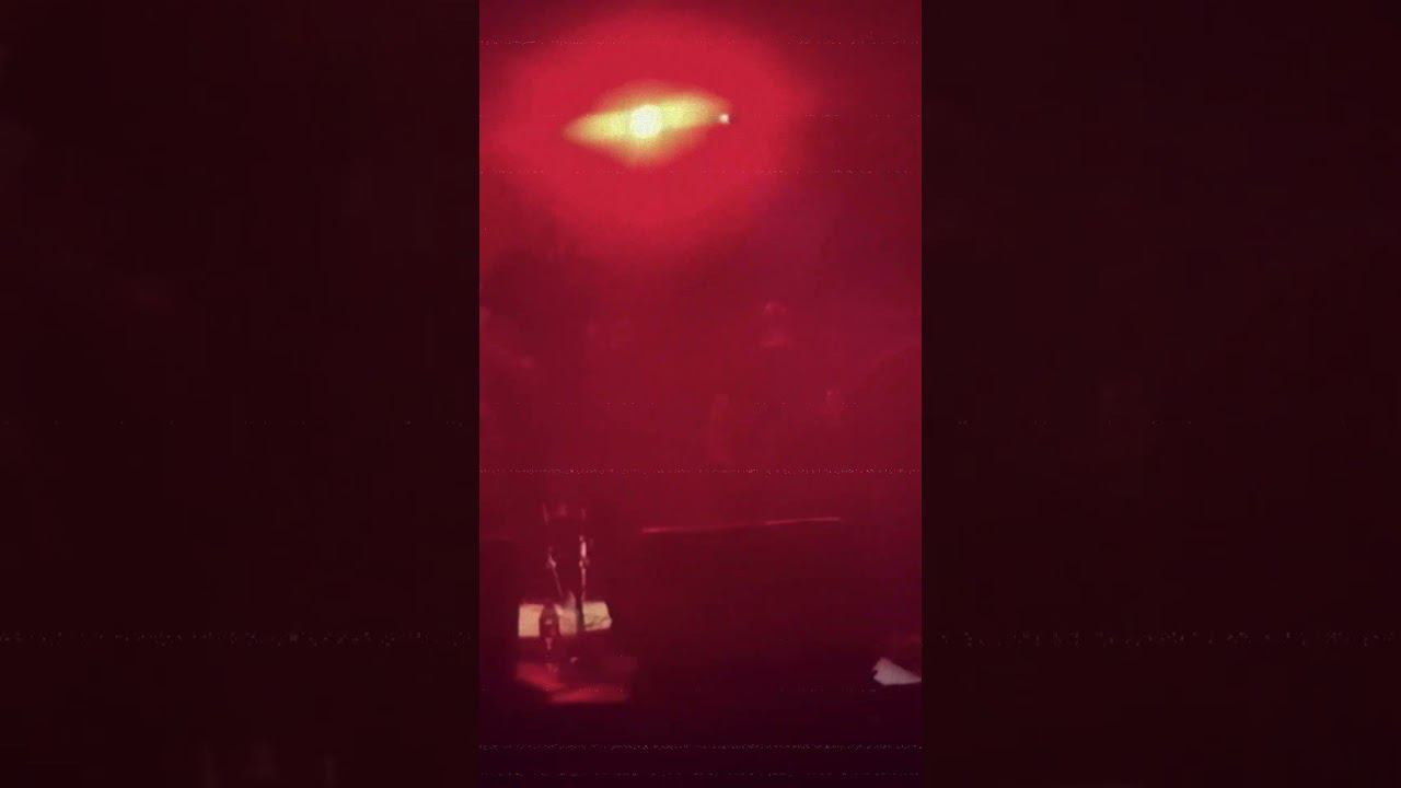 Alienations - Мне не жаль (live) #Shorts #shortsvideo #alienations смотреть онлайн