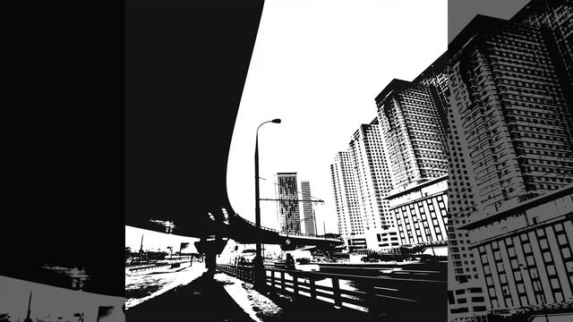 Latrodectus Hasselti