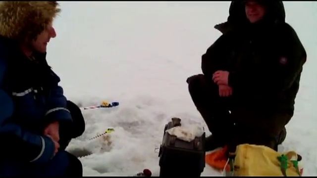 Февраль 2015 вобла