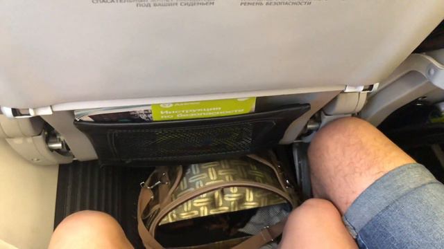 Перелёт с собакой в салоне s7 смотреть онлайн