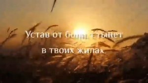 ДОВЕРЬСЯ БОГУ!!!✝️(видео взято с телеграм канала https://t.me/hlebzizni)