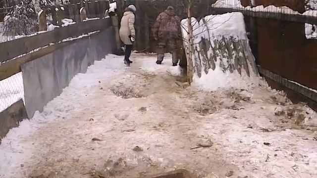 Дори и маленький кабанчик. смотреть онлайн