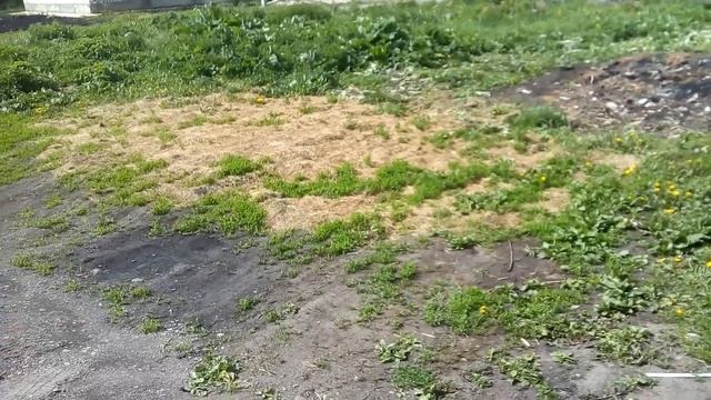 загрязнение воды 3 смотреть онлайн