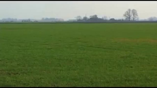 NAGRO - комплексное биоудобрение Заказать 8 977 743-47-37 смотреть онлайн