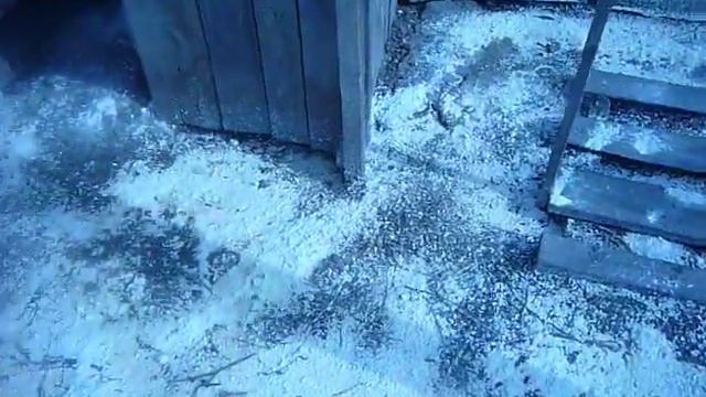 Дезинфекция выгула кур смотреть онлайн