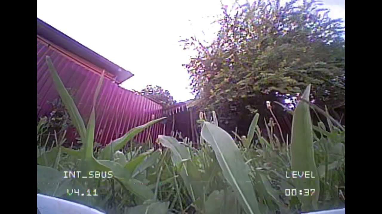 TinyWhoop Rush On Backyard