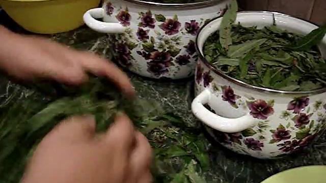 Ферментированный,зеленый и черный чай из иван-чая,сбор, сушка смотреть онлайн