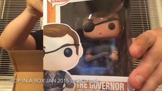 Pop In A Box January 2015 Unboxing