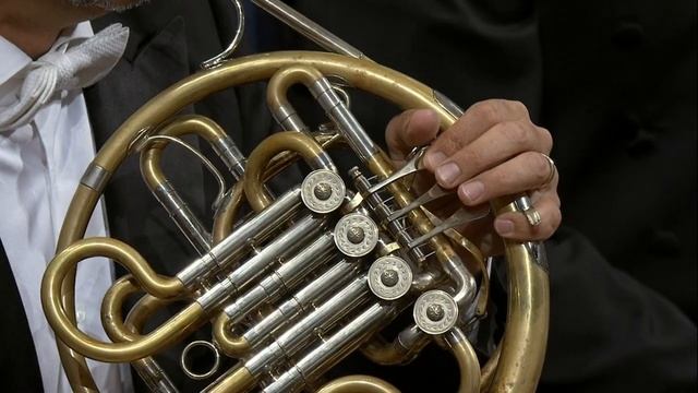 Густав Малер - Симфония №8 – Riccardo Chailly. смотреть онлайн