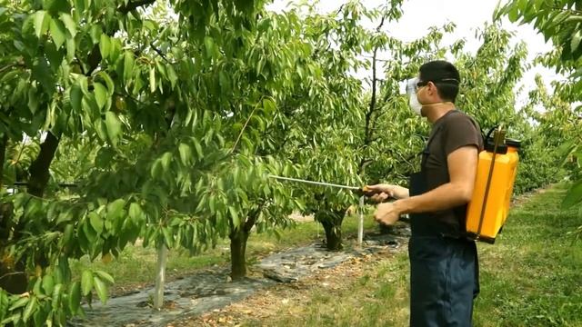 Ранцевый помповый опрыскиватель Volpi UNI 81UG 12l смотреть онлайн