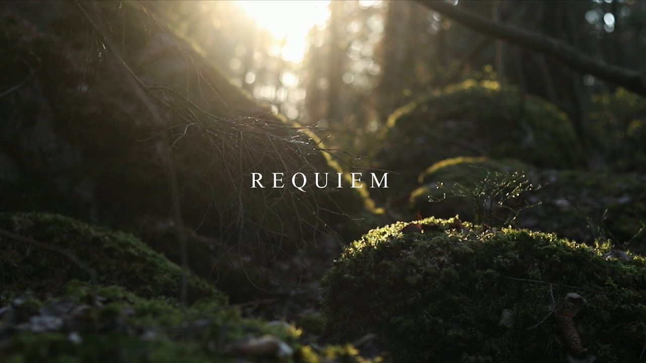 THEODOR BASTARD - Реквием (Official Video)