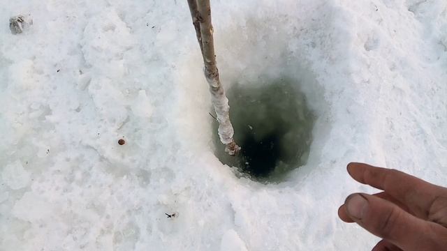 Рыбалка на тычки, проверка. смотреть онлайн