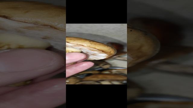 Белый, да не тот! смотреть онлайн