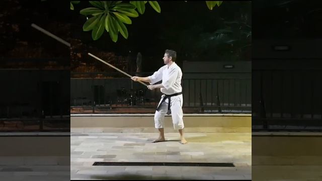 31 Jo Kata | Instituto Aiki (11/04/20) смотреть онлайн