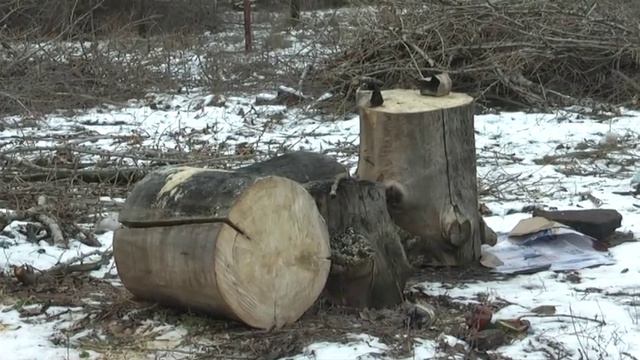 Авантюрная схема Григория Пригебы смотреть онлайн