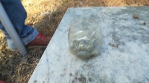 Краска Серебрянка