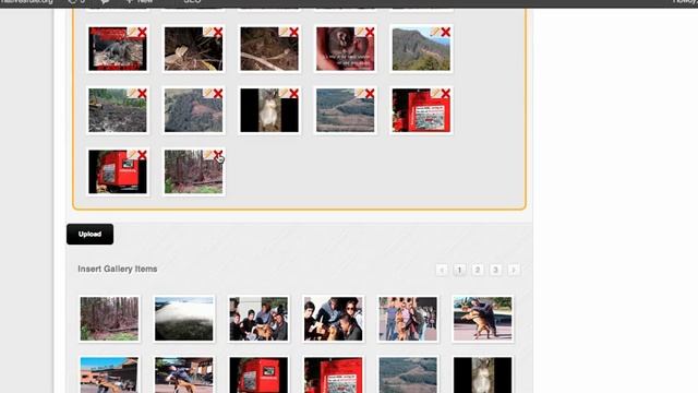 Wordpress Tutorial for Beginners - Uploading Videos and Image Gallery смотреть онлайн