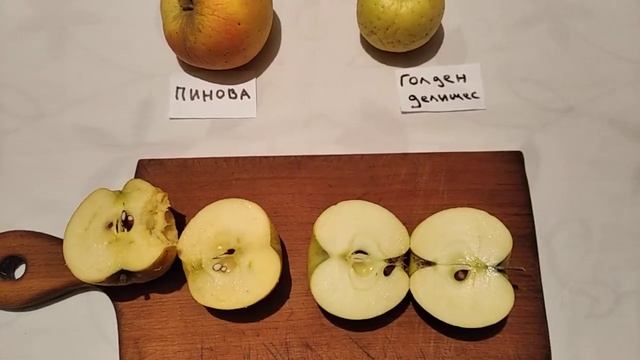 Сладкие яблоки. Пинова, Голден Делишес. смотреть онлайн