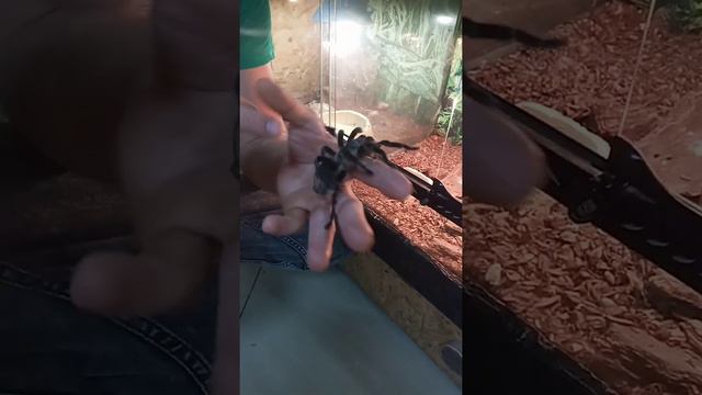 ТЦ Sun Mall Харьков смотреть онлайн