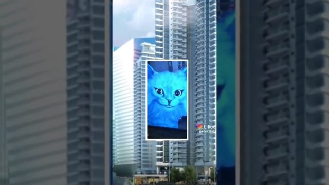 котенок лайк котенок веснушка котик игроман