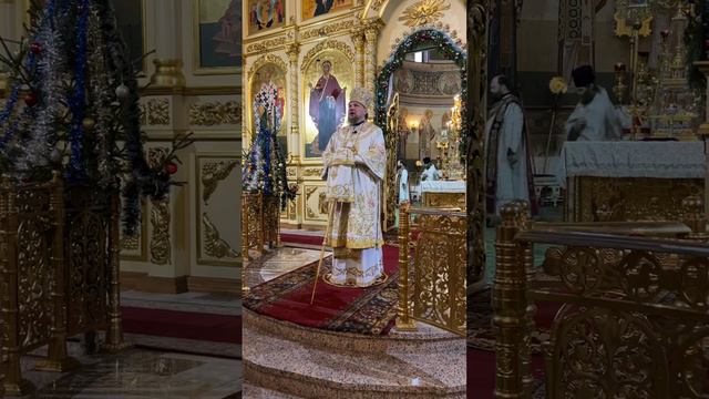 АРХИЕРЕЙСКАЯ ЛИТУРГИЯ-20 ЯНВАРЯ смотреть онлайн
