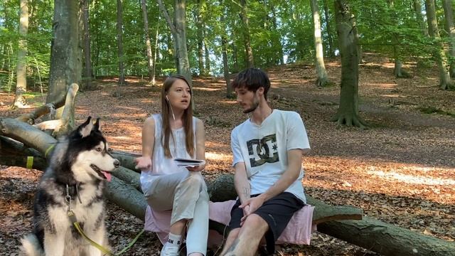 Сколько нужно денег на переезд в Польшу / Гданьск смотреть онлайн