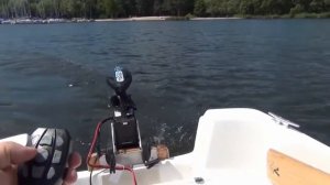 HasWing Cayman T 55lbs