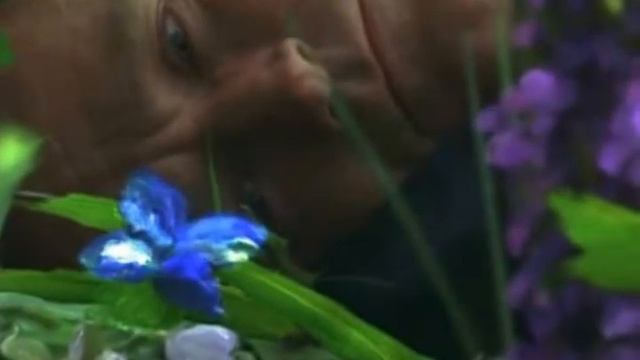 Цвета любви смотреть онлайн
