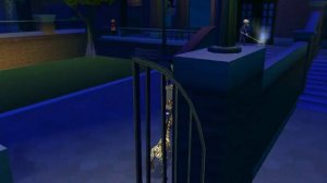 Прохождение игры Мадагаскар