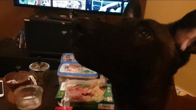 DJANGO NOMADE ! ne vous a pas tout dit ✌ смотреть онлайн