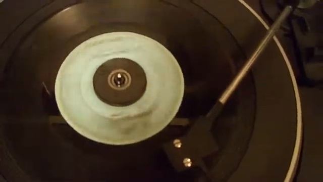 THE AMPOL AIRES - POLANKA POLKA смотреть онлайн