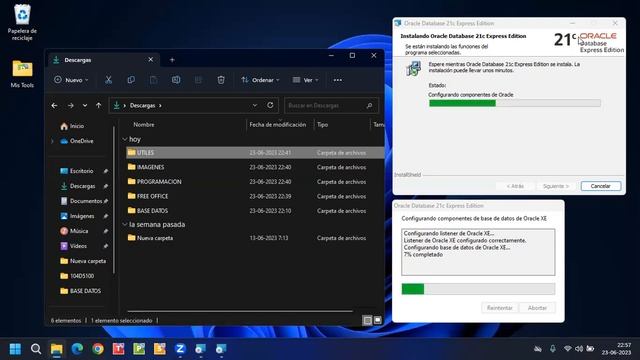 601 Instalando Oracle 21c XE en Windows 11 64 bits смотреть онлайн