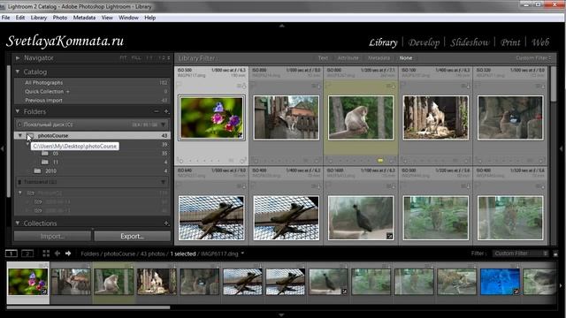 Урок 007 полного русского курса по Lightroom 2 смотреть онлайн
