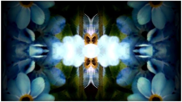 medita angular (number and soul) смотреть онлайн