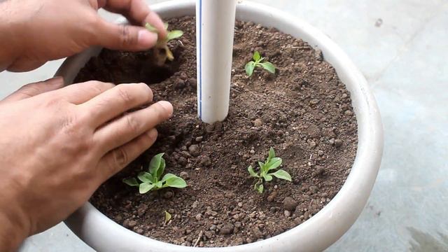 Watch: IT'S TOO EASY To Make A Vertical STACK Planter!