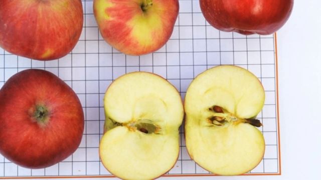 Сорт яблони Аксёна смотреть онлайн