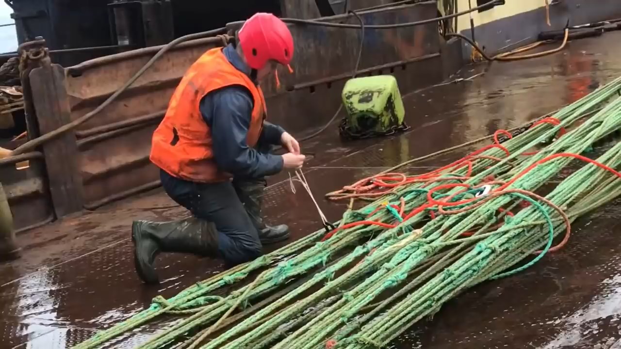 Подъем трала, скумбрия Бутес.mp4 смотреть онлайн