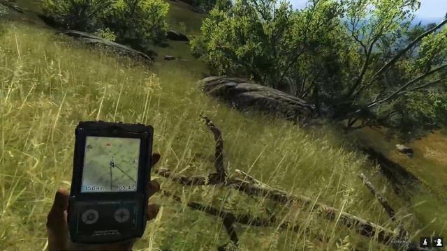 TheHunter Classic. Советы новичкам.