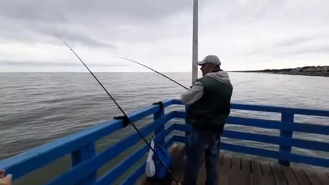 РЫБАЛКА НА ПИРСЕ В ЗЕЛЕНОГРАДСКЕ смотреть онлайн